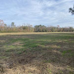 Photo #32 of SOLD property in Off Twisted Hickory Road, Bladenboro, NC 97.3 acres