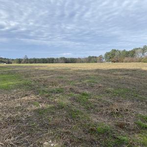 Photo #34 of SOLD property in Off Twisted Hickory Road, Bladenboro, NC 97.3 acres