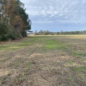 Photo #35 of SOLD property in Off Twisted Hickory Road, Bladenboro, NC 97.3 acres