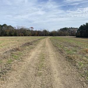 Photo #36 of SOLD property in Off Twisted Hickory Road, Bladenboro, NC 97.3 acres