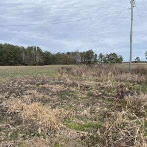 Photo #37 of SOLD property in Off Twisted Hickory Road, Bladenboro, NC 97.3 acres