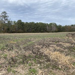 Photo #38 of SOLD property in Off Twisted Hickory Road, Bladenboro, NC 97.3 acres