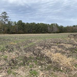 Photo #38 of SOLD property in Off Twisted Hickory Road, Bladenboro, NC 97.3 acres