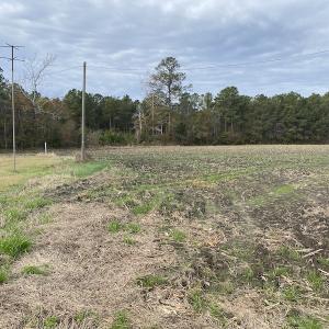 Photo #39 of SOLD property in Off Twisted Hickory Road, Bladenboro, NC 97.3 acres