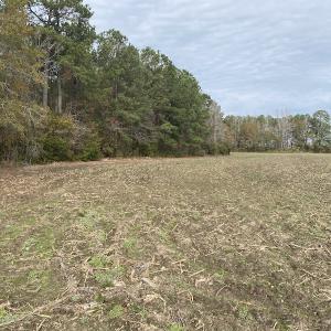 Photo #40 of SOLD property in Off Twisted Hickory Road, Bladenboro, NC 97.3 acres