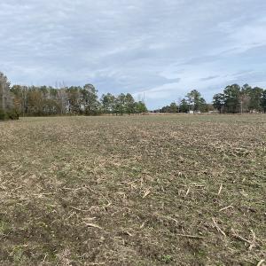 Photo #41 of SOLD property in Off Twisted Hickory Road, Bladenboro, NC 97.3 acres