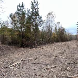 Photo #13 of SOLD property in Off Beamon Hunt Road, Warrenton, NC 10.9 acres
