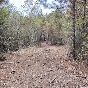 Photo #14 of SOLD property in Off Beamon Hunt Road, Warrenton, NC 10.9 acres