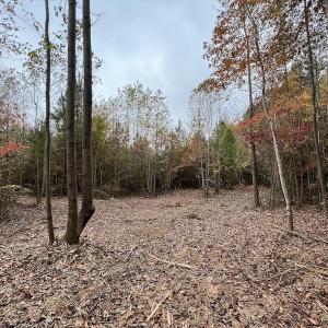 Photo #16 of SOLD property in Off Beamon Hunt Road, Warrenton, NC 10.9 acres