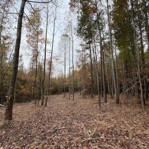 Photo #17 of SOLD property in Off Beamon Hunt Road, Warrenton, NC 10.9 acres
