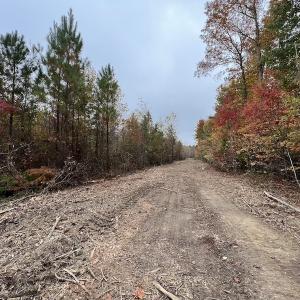 Photo #19 of SOLD property in Off Beamon Hunt Road, Warrenton, NC 10.9 acres