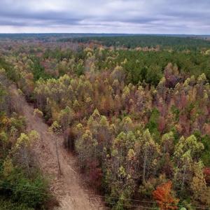 Photo #2 of SOLD property in Off Beamon Hunt Road, Warrenton, NC 10.9 acres