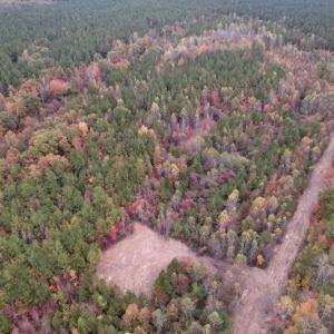 Photo #6 of SOLD property in Off Beamon Hunt Road, Warrenton, NC 10.9 acres