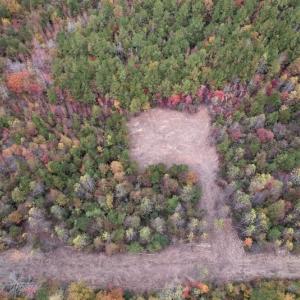 Photo #7 of SOLD property in Off Beamon Hunt Road, Warrenton, NC 10.9 acres