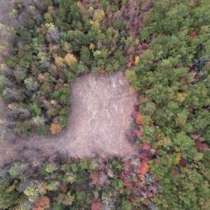 Photo #8 of SOLD property in Off Beamon Hunt Road, Warrenton, NC 10.9 acres