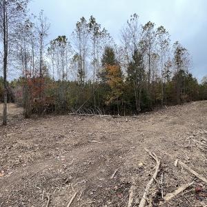 Photo #17 of SOLD property in Off Beamon Hunt Road, Warrenton, NC 16.0 acres