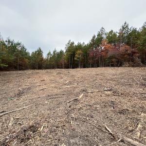 Photo #18 of SOLD property in Off Beamon Hunt Road, Warrenton, NC 16.0 acres