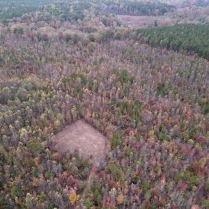 Photo #5 of SOLD property in Off Beamon Hunt Road, Warrenton, NC 16.0 acres