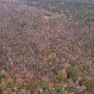 Photo #12 of SOLD property in Off Beamon Hunt Road, Warrenton, NC 16.0 acres