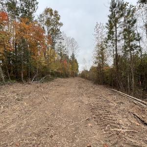 Photo #15 of SOLD property in Off Beamon Hunt Road, Warrenton, NC 16.0 acres