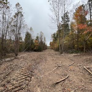 Photo #16 of SOLD property in Off Beamon Hunt Road, Warrenton, NC 16.0 acres