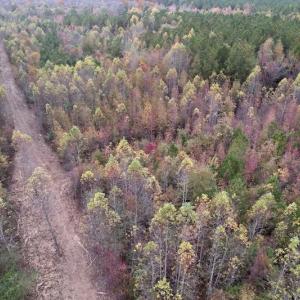 Photo #3 of SOLD property in Off Beamon Hunt Road, Warrenton, NC 16.0 acres