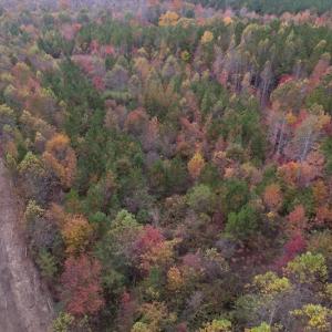Photo #4 of SOLD property in Off Beamon Hunt Road, Warrenton, NC 16.0 acres