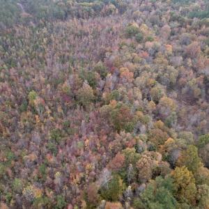 Photo #6 of SOLD property in Off Beamon Hunt Road, Warrenton, NC 16.0 acres
