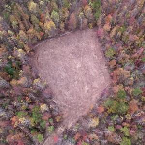 Photo #9 of SOLD property in Off Beamon Hunt Road, Warrenton, NC 16.0 acres