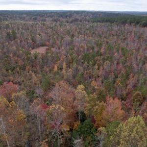 Photo #10 of SOLD property in Off Beamon Hunt Road, Warrenton, NC 23.7 acres