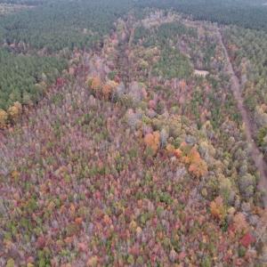 Photo #11 of SOLD property in Off Beamon Hunt Road, Warrenton, NC 23.7 acres