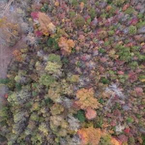 Photo #12 of SOLD property in Off Beamon Hunt Road, Warrenton, NC 23.7 acres