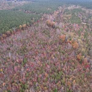 Photo #13 of SOLD property in Off Beamon Hunt Road, Warrenton, NC 23.7 acres