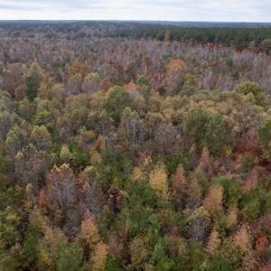 Photo #14 of SOLD property in Off Beamon Hunt Road, Warrenton, NC 23.7 acres