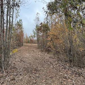 Photo #15 of SOLD property in Off Beamon Hunt Road, Warrenton, NC 23.7 acres