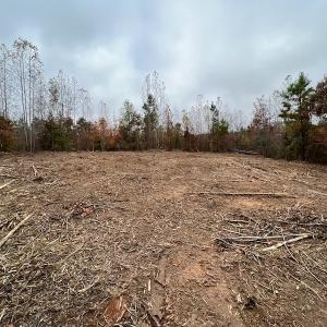 Photo #16 of SOLD property in Off Beamon Hunt Road, Warrenton, NC 23.7 acres