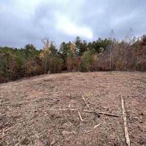 Photo #17 of SOLD property in Off Beamon Hunt Road, Warrenton, NC 23.7 acres