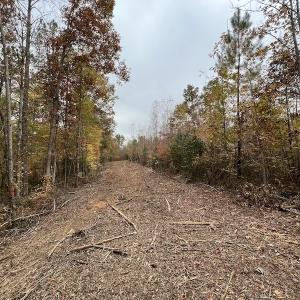 Photo #18 of SOLD property in Off Beamon Hunt Road, Warrenton, NC 23.7 acres