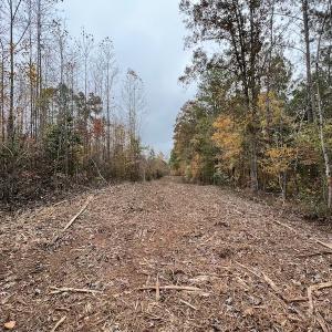 Photo #19 of SOLD property in Off Beamon Hunt Road, Warrenton, NC 23.7 acres