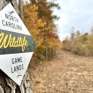 Photo #21 of SOLD property in Off Beamon Hunt Road, Warrenton, NC 23.7 acres