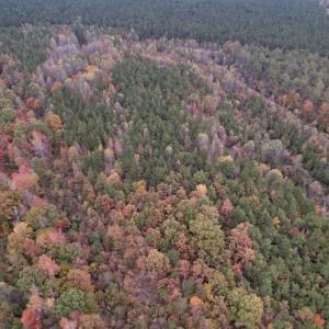 Photo #8 of SOLD property in Off Beamon Hunt Road, Warrenton, NC 23.7 acres