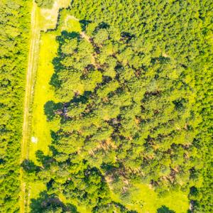 Photo #9 of SOLD property in Off Galloway Road, Grimesland, NC 19.1 acres