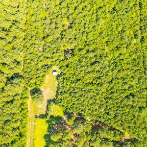 Photo #10 of SOLD property in Off Galloway Road, Grimesland, NC 19.1 acres