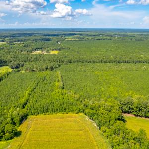 Photo #13 of SOLD property in Off Galloway Road, Grimesland, NC 19.1 acres