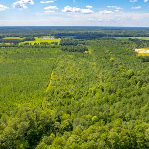 Photo #14 of SOLD property in Off Galloway Road, Grimesland, NC 19.1 acres