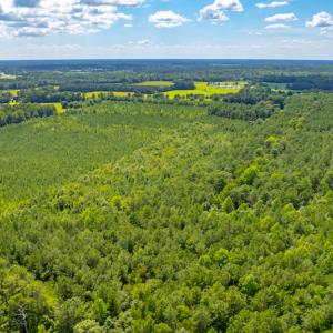 Photo #15 of SOLD property in Off Galloway Road, Grimesland, NC 19.1 acres