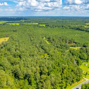 Photo #17 of SOLD property in Off Galloway Road, Grimesland, NC 19.1 acres