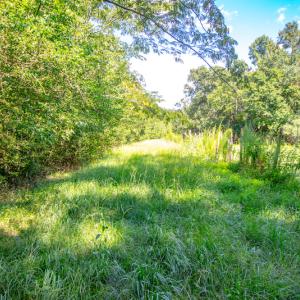 Photo #19 of SOLD property in Off Galloway Road, Grimesland, NC 19.1 acres