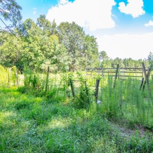 Photo #20 of SOLD property in Off Galloway Road, Grimesland, NC 19.1 acres