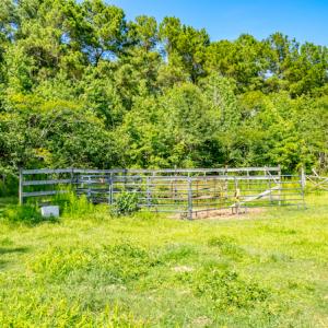 Photo #21 of SOLD property in Off Galloway Road, Grimesland, NC 19.1 acres